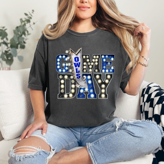 Blue and White Game Day (short sleeve, long sleeve, sweatshirt, hoodie)