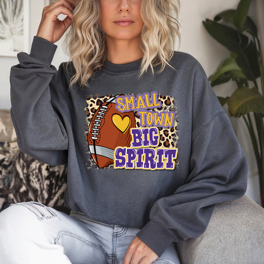 Small Town Big Spirit Sweatshirt (Youth and Adult)